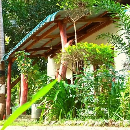 סיגירייה Sigiri Picaso Home Stay מראה חיצוני תמונה