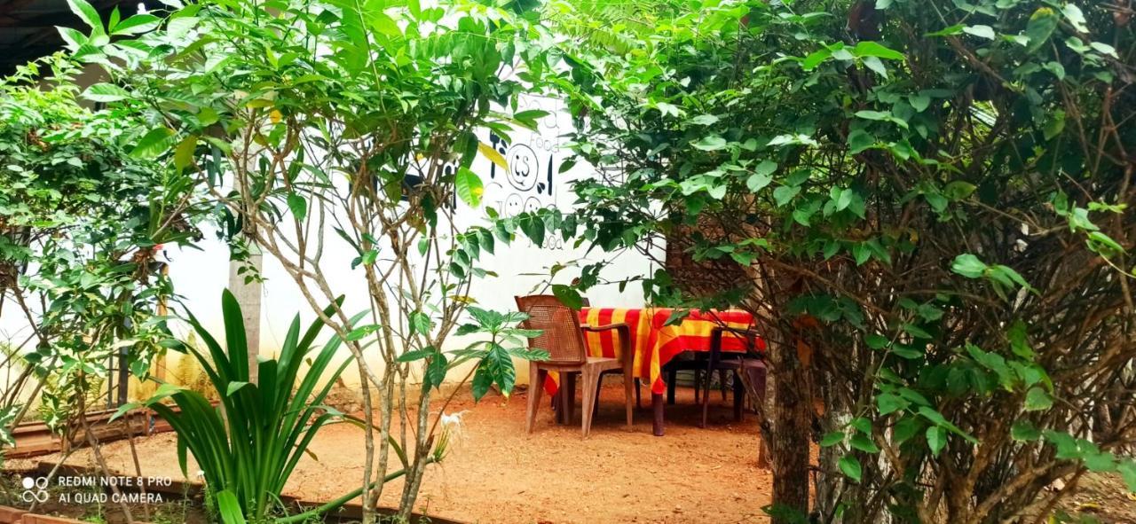 סיגירייה Sigiri Picaso Home Stay מראה חיצוני תמונה