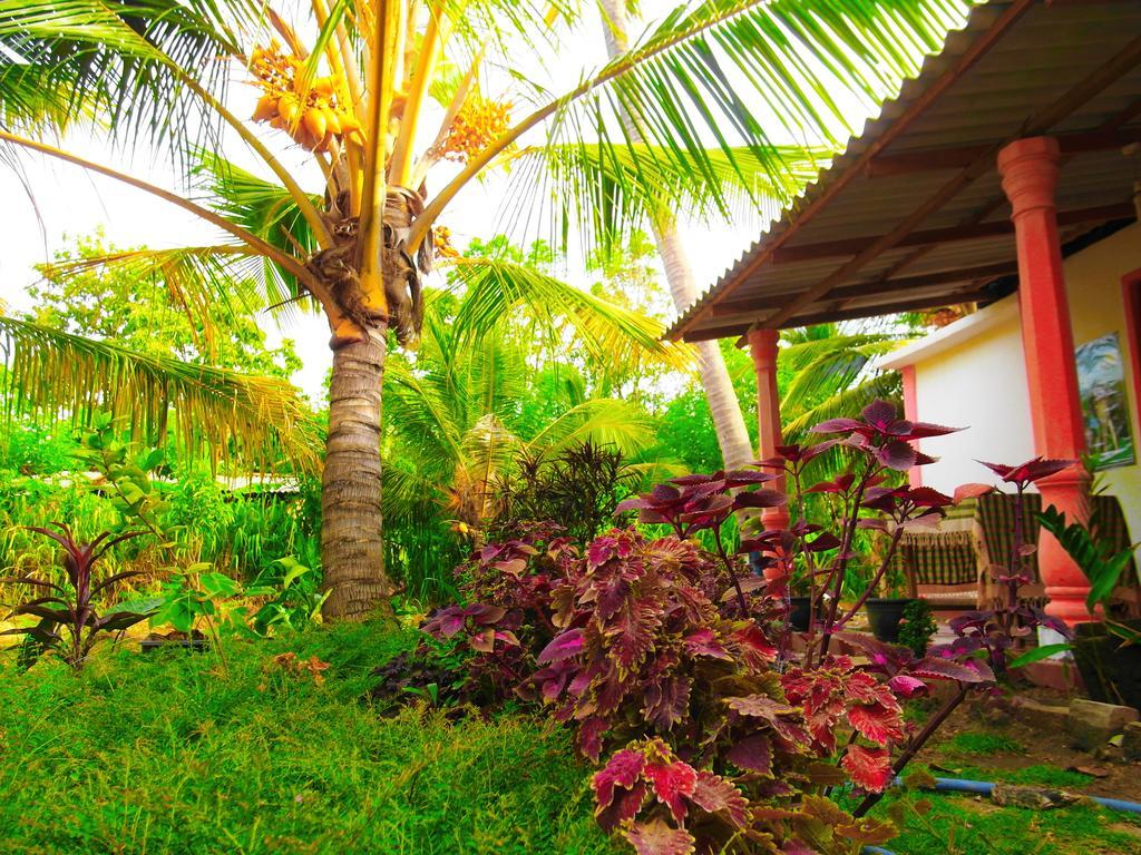 סיגירייה Sigiri Picaso Home Stay מראה חיצוני תמונה