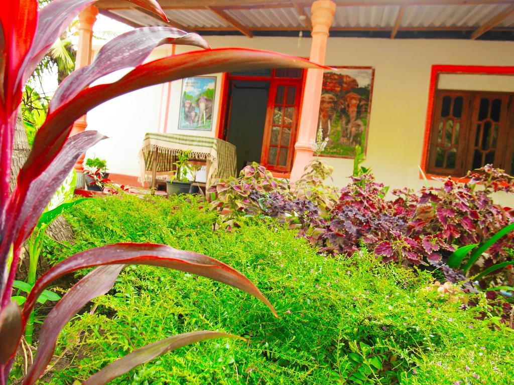 סיגירייה Sigiri Picaso Home Stay מראה חיצוני תמונה