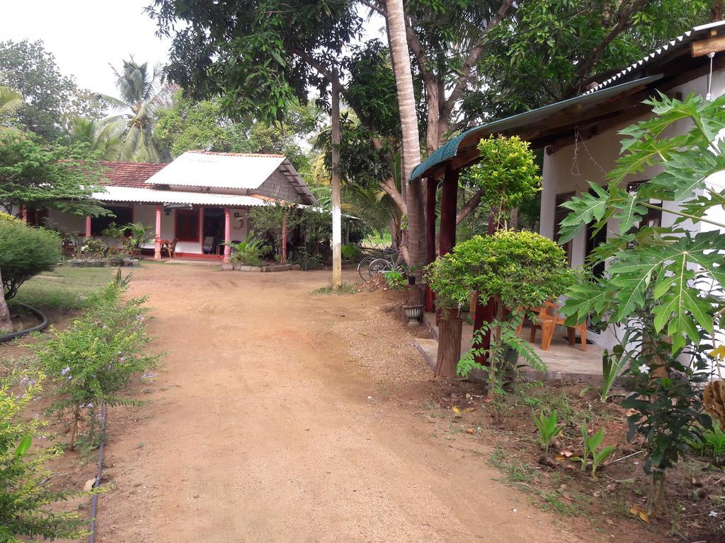 סיגירייה Sigiri Picaso Home Stay מראה חיצוני תמונה