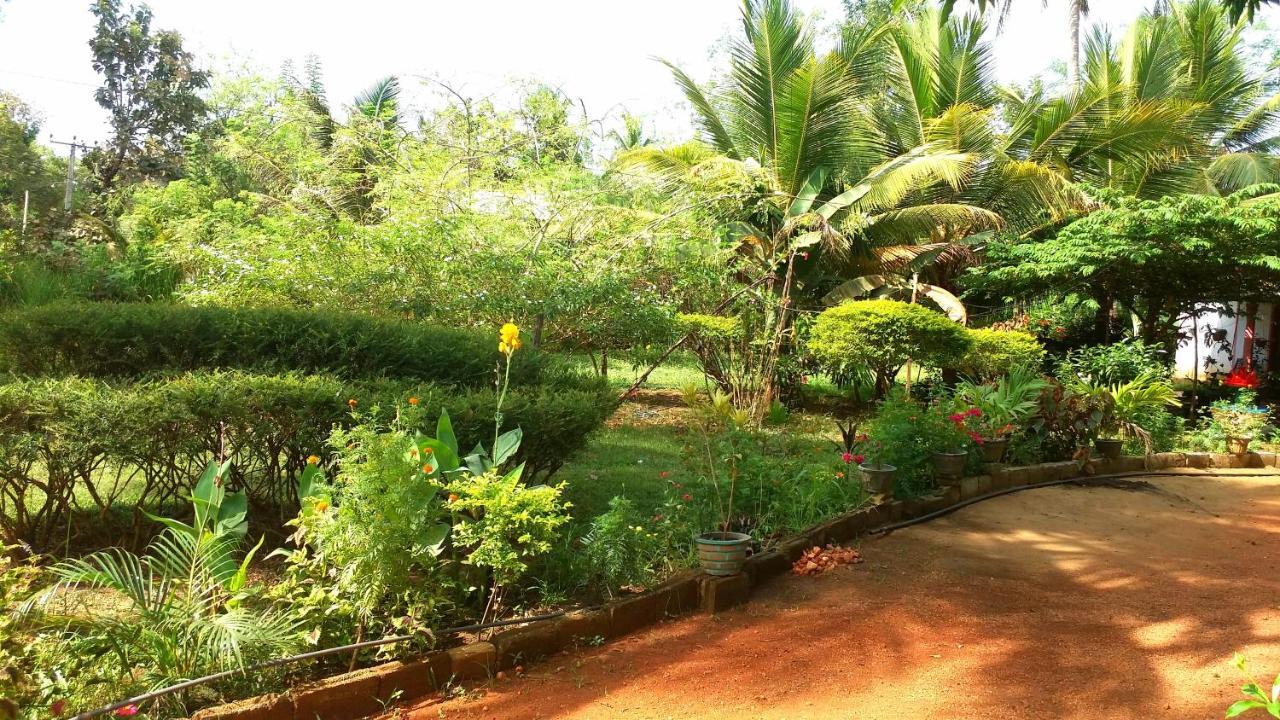 סיגירייה Sigiri Picaso Home Stay מראה חיצוני תמונה