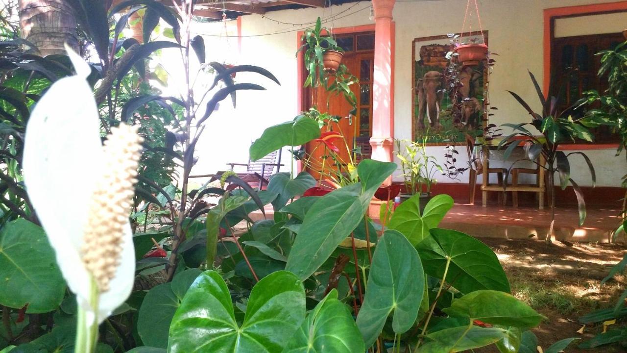 סיגירייה Sigiri Picaso Home Stay מראה חיצוני תמונה