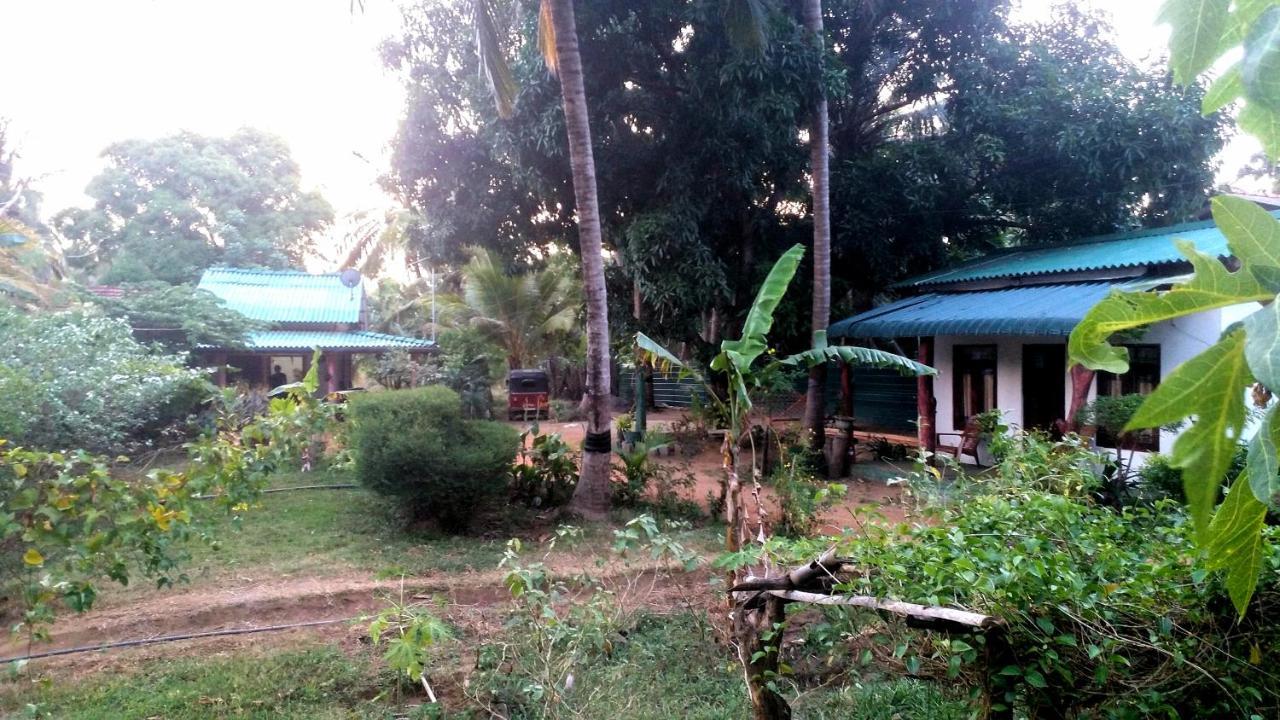 סיגירייה Sigiri Picaso Home Stay מראה חיצוני תמונה