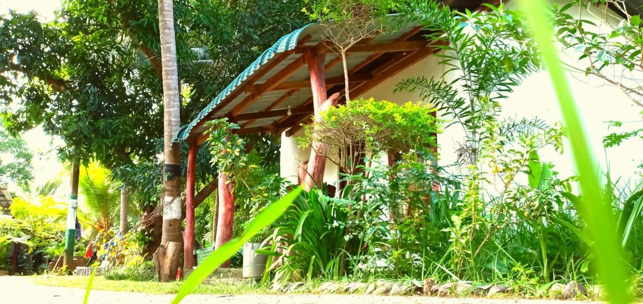 סיגירייה Sigiri Picaso Home Stay מראה חיצוני תמונה