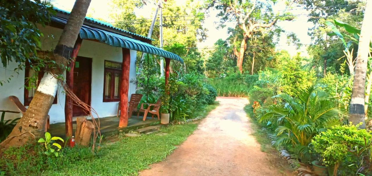 סיגירייה Sigiri Picaso Home Stay מראה חיצוני תמונה